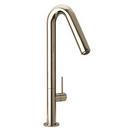 1-Hole Kitchen Faucet with Single Lever Handle and Angled Spout in Brushed Nickel