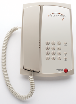 1-Line Basic Phone in Ash