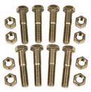 5 in. 316 Stainless Steel Flange Nut & Bolt Set