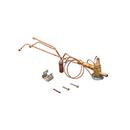 Rheem Thermal Expansion Valve 