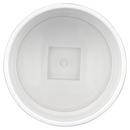 White PVC DWV Female Adapter with Plug 