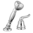 2-Hole Hand Shower and Diverter Trim Kit with Single-Handle in Polished Chrome