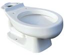 Round Toilet Bowl in White