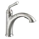 Single Handle Pull Out Kitchen Faucet in Stainless Steel - PVD