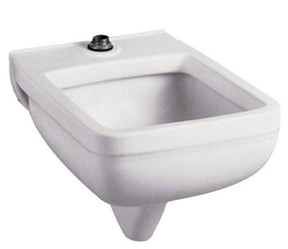 American Standard Polished Chrome 25-1/4 x 21-1/8 x 17-1/2 in. Wall Mount Healthcare Sink 