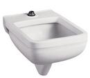25-1/4 x 21-1/8 x 17-1/2 in. Wall Mount Healthcare Sink in White