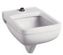 American Standard White Clinic Service Sink 