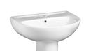 22 x 17-1/2 in. Oval Pedestal Bathroom Sink in White