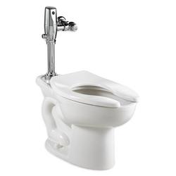 Elongated Toilet Bowl in White