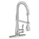 American Standard Stainless Steel - PVD Single Handle Pull Down Kitchen Faucet 