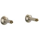 Brizo Brushed Nickel 2 gpm Wall Mount Tub Filler Union 