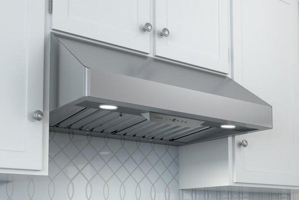 Zephyr Stainless Steel Convertible Range Hood in Stainless Steel 