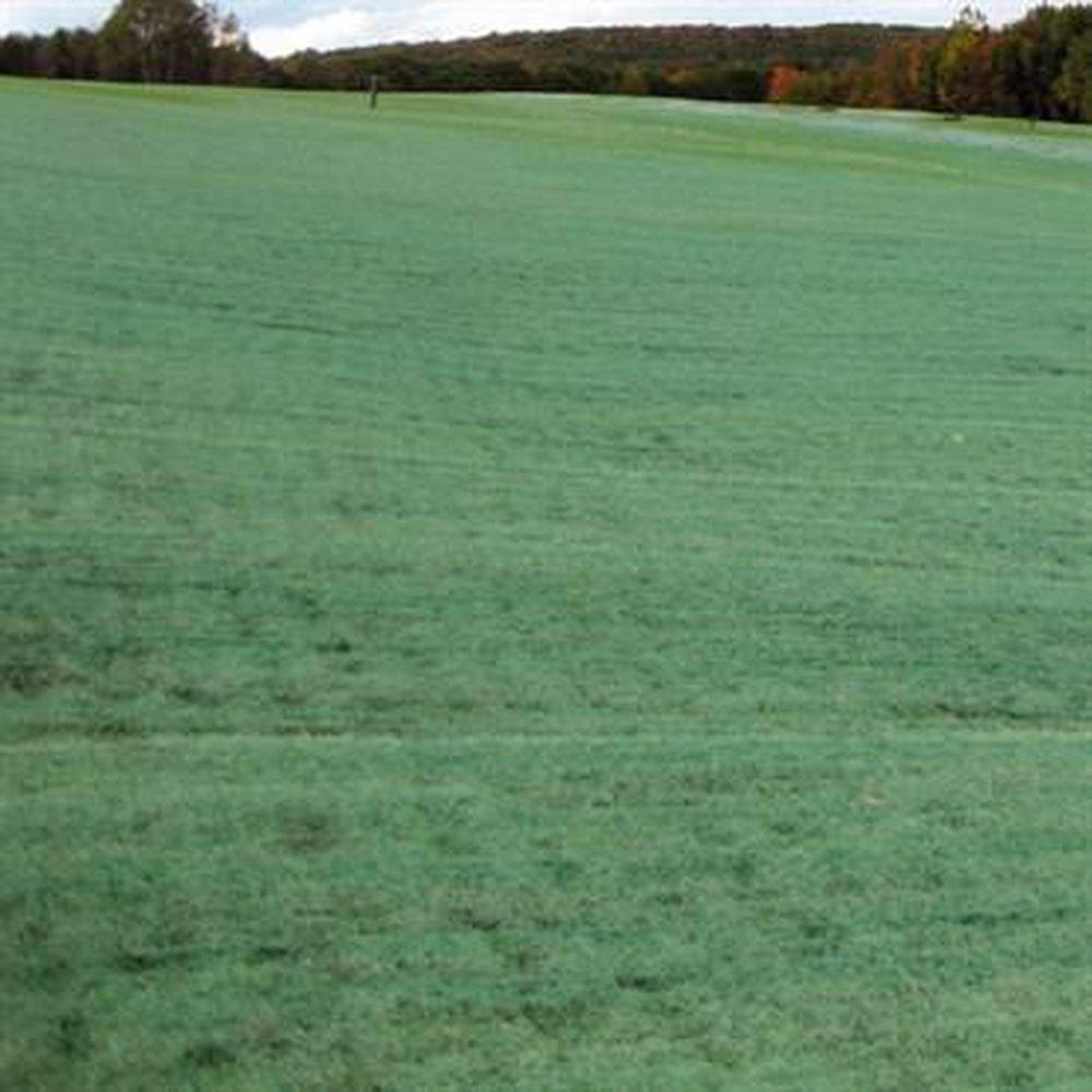 American Excelsior Green 8 ft. Erosion Control Blanket 