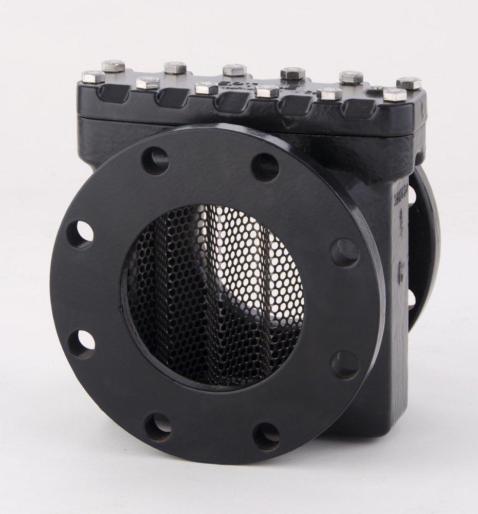 Neptune Technology Group Flanged Ductile Iron Strainer for Meter 