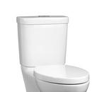 1.0 gpf/1.28 gpf Dual Flush Toilet Tank in Canvas White