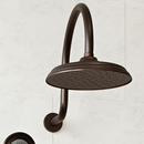DXV Carbon Bronze Brass Shower Arm 