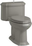 1.28 gpf Elongated Floor Mount One Piece Toilet in Cashmere