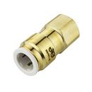 John Guest OD Tube x Female Threaded Brass Bulk Adapter 