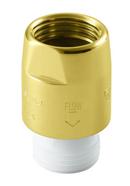 KOHLER Vibrant&reg; Polished Brass Vacuum Breaker 