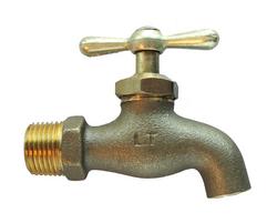 3/4 in. Brass MIP x Spout Hose Bibb