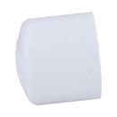 White PVC Schedule 40 Cap 