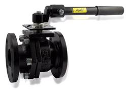 8 in. Cast Iron Standard Port Flanged 125# Ball Valve