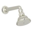 Single Function Classic Showerhead in Polished Nickel