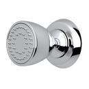 Perrin & Rowe&reg; Polished Chrome 1-Function Body Spray 