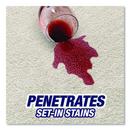 Resolve&reg; Resolve Spot and Stain Carpet Cleaner 