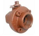 2 in. Ductile Iron Reduced Port Threaded 2000# Ball Valve
