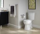 Delta Faucet Chrome 24 in. Towel Bar 