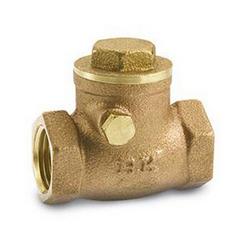 2 in. Brass Threaded Swing Check Valve