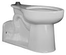 Sloan Valve White 1.6 gpf Elongated Floor Mount Toilet Bowl 