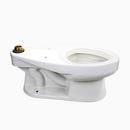 Elongated Toilet in White