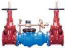 8 in. Epoxy Coated Ductile Iron Grooved 175 psi Backflow Preventer