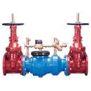 Zurn Wilkins Stainless Steel Ductile Iron Flanged 350 psi Backflow Preventer 