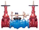 Zurn Wilkins Stainless Steel Ductile Iron Flanged 350 psi Backflow Preventer 