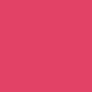 Seymour of Sycamore Fluorescent Pink 20 oz. Upside Down Marking Spray Paint 