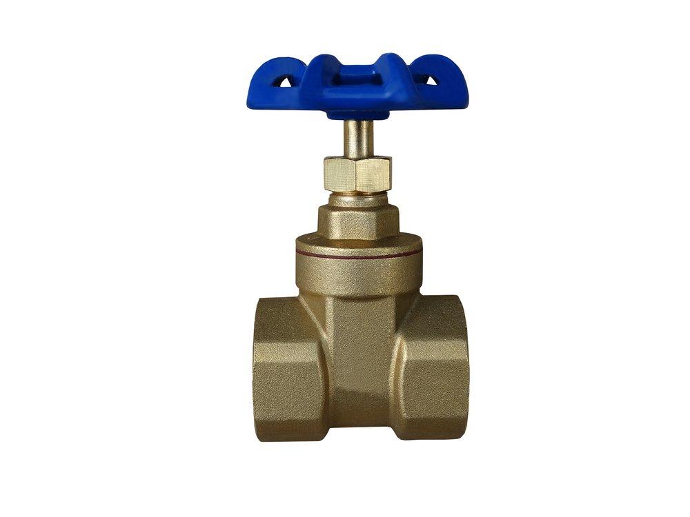 American Valve Brass FNPT Gate Valve 
