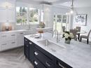 BLANCO Stainless Single Handle Pull Down Kitchen Faucet 