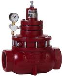 3 in. Ductile Iron FNPT Gas Regulator Valve