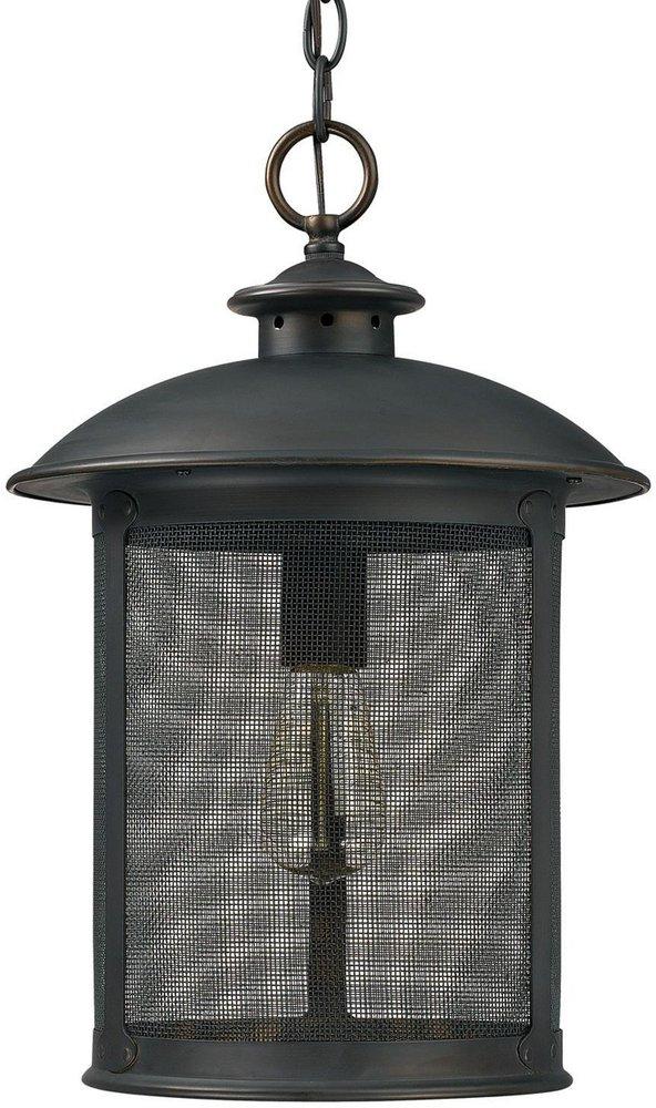 Capital Lighting Old Bronze 100W 1-Light Medium E-26 Incandescent Outdoor Hanging Lantern 