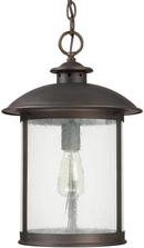 Capital Lighting Old Bronze 100W 1-Light Medium E-26 Incandescent Hanging Lantern 