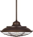 Capital Lighting Burnished Bronze 16-1/2 in. 100W 1-Light Medium E-26 Incandescent Pendants 