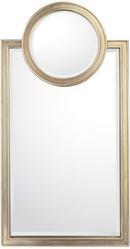 46 x 24 in. Decorative Mirror in Brushed Silver