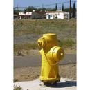Clow Valve Yellow 900 Series Threaded 4-1/2 x 2-1/2 in. Assembled Fire Hydrant 