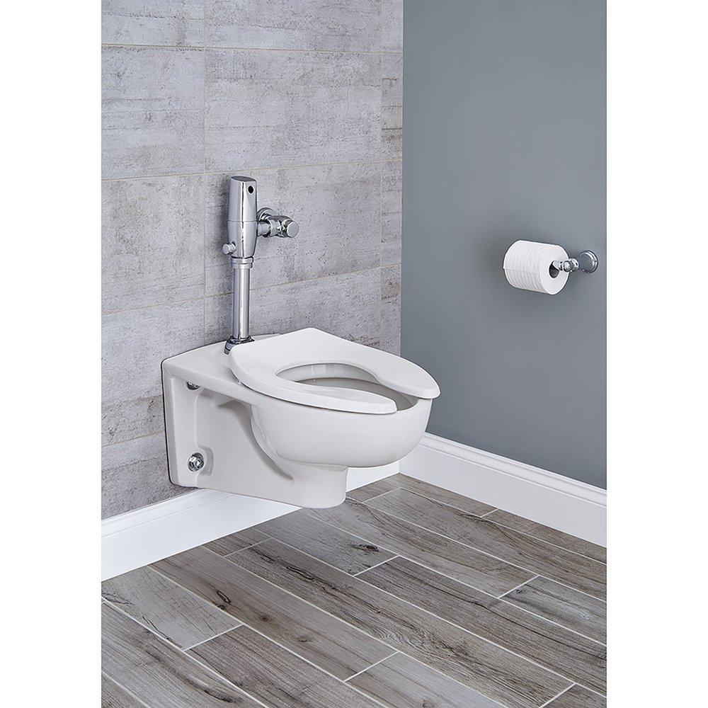 American Standard Polished Chrome 1.1 gpf Flush Valve 