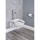 American Standard Polished Chrome 1.1 gpf Flush Valve 