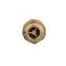 Zurn Wilkins Cast Bronze Cast Bronze Union Female Meter x Male Meter Threaded 175 psi Backflow Preventer 