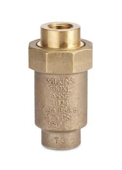 1/4 in. FNPT Dual Check Valve